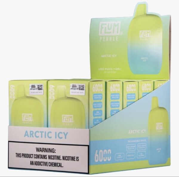 Artic Icy 6000 puffs 10 pack